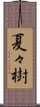 夏々樹 Scroll