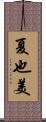 夏也美 Scroll