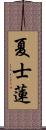 夏士蓮 Scroll