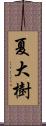 夏大樹 Scroll