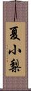 夏小梨 Scroll