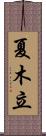 夏木立 Scroll