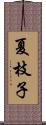 夏枝子 Scroll