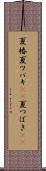 夏椿 Scroll