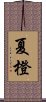 夏橙 Scroll