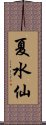 夏水仙 Scroll