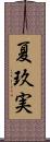 夏玖実 Scroll