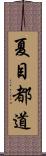 夏目都道 Scroll