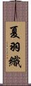 夏羽織 Scroll