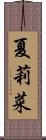 夏莉菜 Scroll