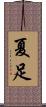 夏足 Scroll