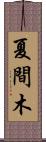 夏間木 Scroll