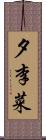 夕李菜 Scroll