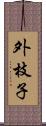 外枝子 Scroll