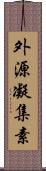 外源凝集素 Scroll