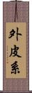 外皮系 Scroll