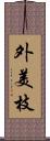 外美枝 Scroll