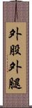 外股 Scroll