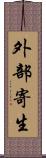 外部寄生 Scroll