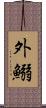 外鰯 Scroll