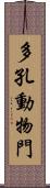 多孔動物門 Scroll