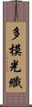 多模光纖 Scroll