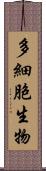 多細胞生物 Scroll