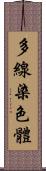 多線染色體 Scroll