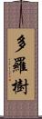 多羅樹 Scroll