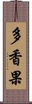 多香果 Scroll