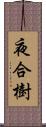 夜合樹 Scroll