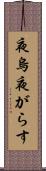 夜烏 Scroll