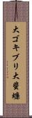 大ゴキブリ Scroll