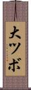 大ツボ Scroll