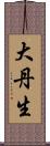 大丹生 Scroll