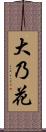 大乃花 Scroll