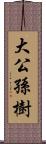 大公孫樹 Scroll