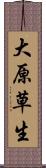 大原草生 Scroll