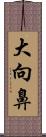 大向鼻 Scroll