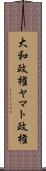 大和政権 Scroll