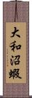 大和沼蝦 Scroll