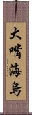 大嘴海烏 Scroll