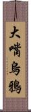 大嘴烏鴉 Scroll