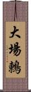 大場鶇 Scroll