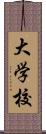 大学校 Scroll