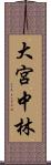 大宮中林 Scroll