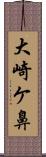 大崎ケ鼻 Scroll