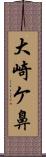 大崎ケ鼻 Scroll