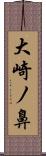 大崎ノ鼻 Scroll