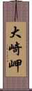 大崎岬 Scroll